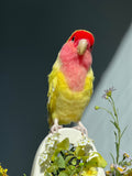 3D Wool Felt Bird (70%deposit to start the project)