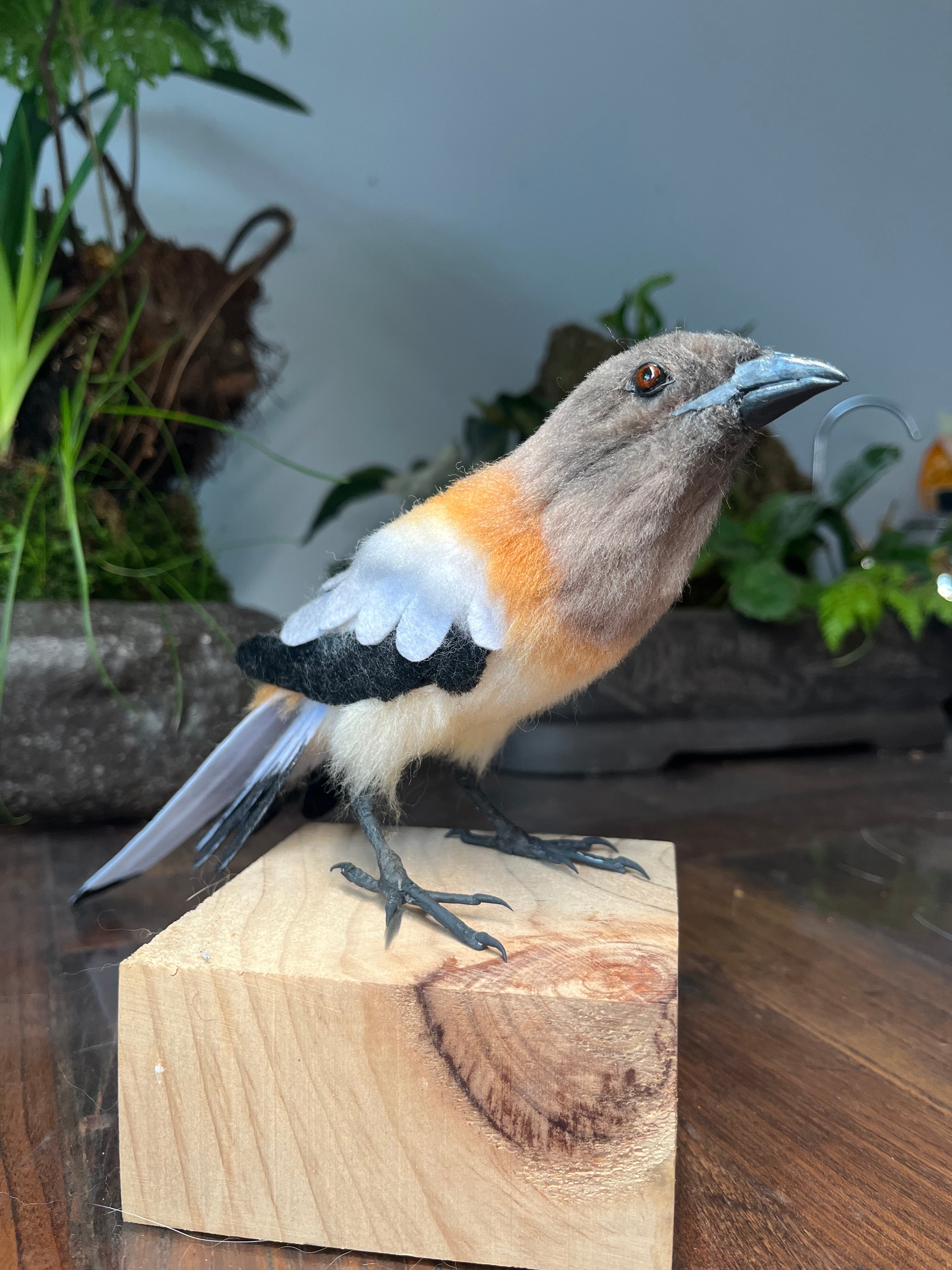 3D Wool Felt Bird (70%deposit to start the project)