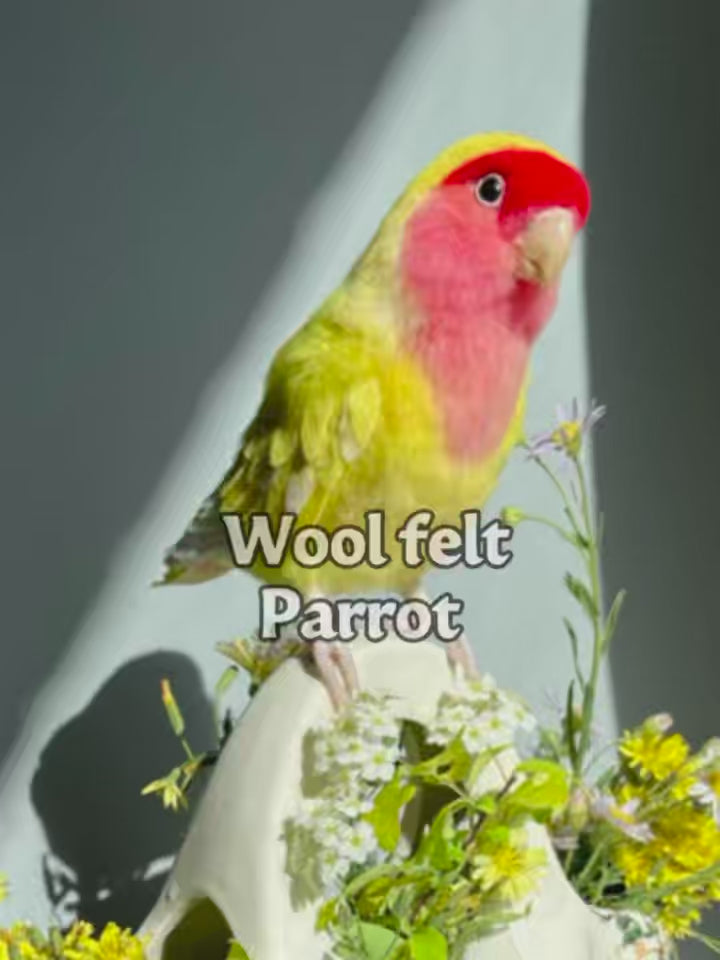 3D Wool Felt Bird (70%deposit to start the project)